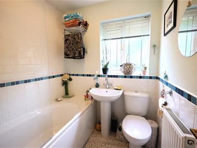 Picture 15